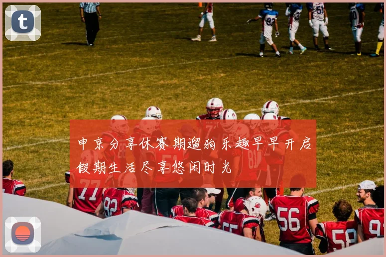 申京分享休赛期遛狗乐趣早早开启假期生活尽享悠闲时光