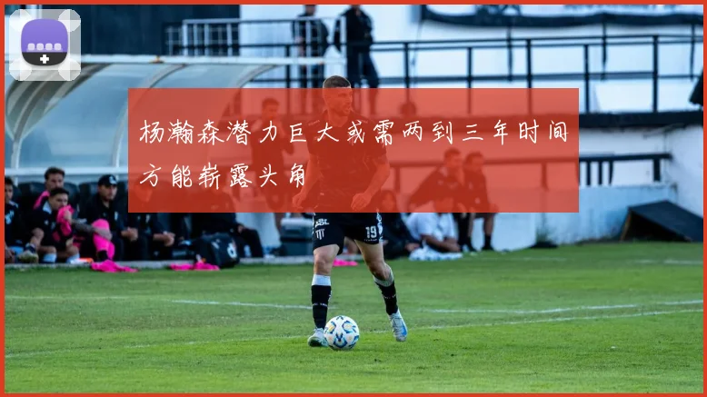 杨瀚森潜力巨大或需两到三年时间方能崭露头角