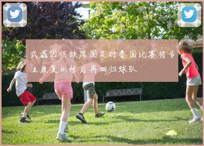 武磊因伤缺席国足对泰国比赛将专注康复训练后再回归球队