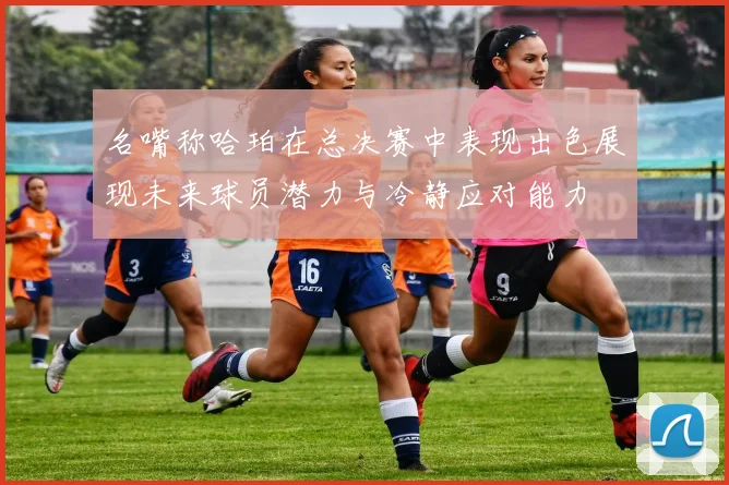 名嘴称哈珀在总决赛中表现出色展现未来球员潜力与冷静应对能力