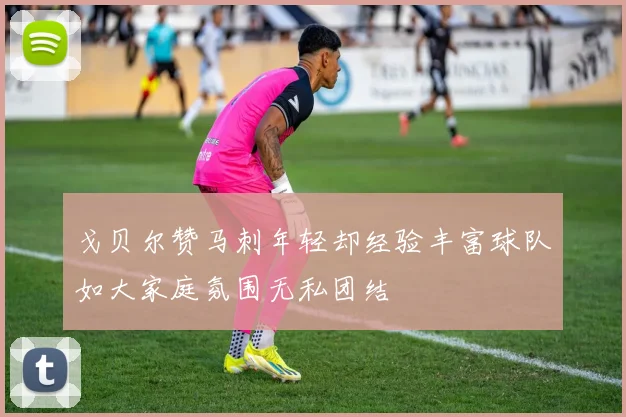 戈贝尔赞马刺年轻却经验丰富球队如大家庭氛围无私团结
