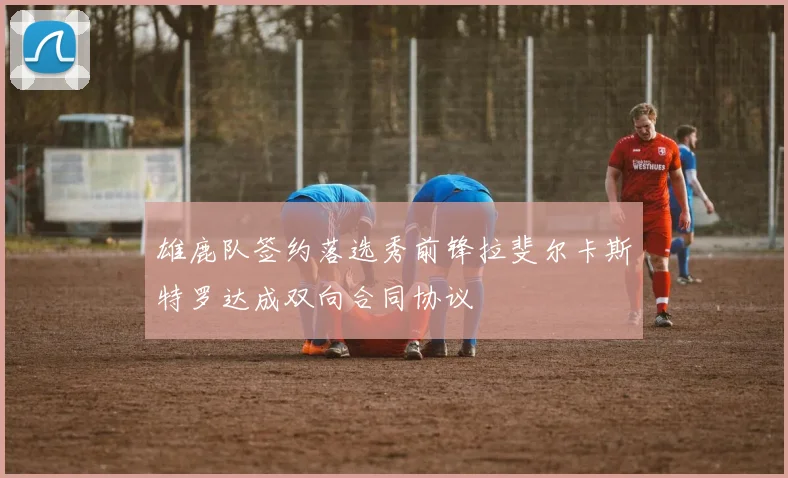 雄鹿队签约落选秀前锋拉斐尔卡斯特罗达成双向合同协议